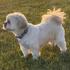 Meet your Posher, Marie